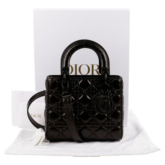 Dior Handbags - Ladies Small Tote And Shoulder Bag